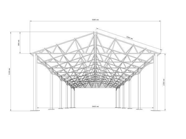 Двосхилий навіс Shelter Premium 10x6 м – без покриття, захист авто від дощу і сонця, для саду та авто – фото
