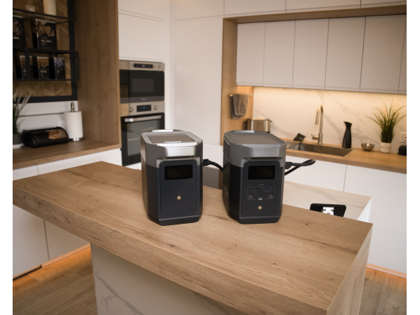 Додаткова акумуляторна батарея EcoFlow Delta 2 Extra Battery – фото