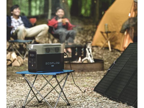 Зарядна станція EcoFlow DELTA mini (882 Вт·год) – фото